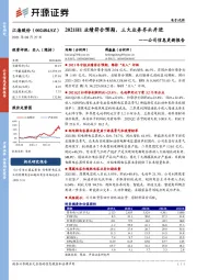 公司信息更新报告:2021H1业绩符合预期,三大业务齐头并进