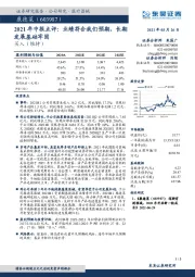 2021年中报点评:业绩符合我们预期,长期发展基础牢固