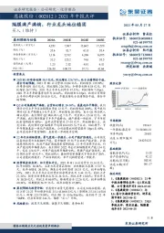 2021年中报点评:隔膜满产满销,行业龙头地位稳固