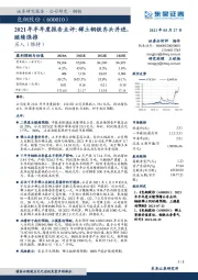 2021年半年度报告点评：稀土钢铁齐头并进，继续强推