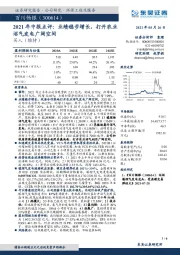 2021年中报点评：业绩稳步增长，打开农业沼气发电广阔空间