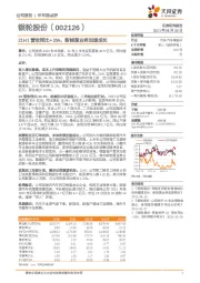 21H1营收同比+35%，新能源业务加速成长