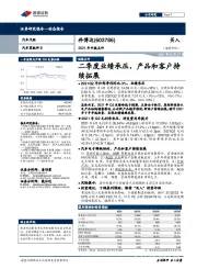 2021年中报点评:二季度业绩承压,产品和客户持续拓展