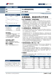 2021中报点评：业绩稳健，渠道变革打开空间