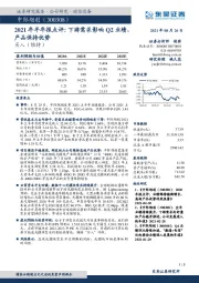 2021年半年报点评:下游需求影响Q2业绩,产品保持优势