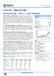 营收高增业绩平稳,“科技兴化”战略引领持续创新