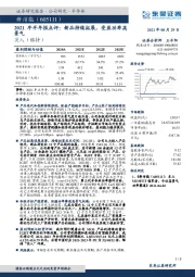 2021年半年报点评：新品持续拓展，受益功率高景气