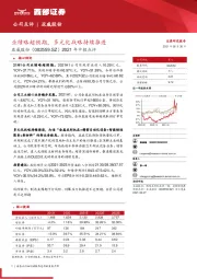 2021年中报点评：业绩略超预期，多元化战略持续推进