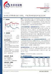 自动化订单即将向收入转化,开拓多种新品打开成长空间