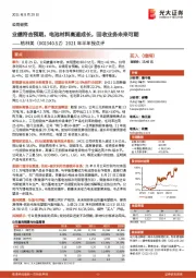 2021年半年报点评:业绩符合预期,电池材料高速成长,回收业务未来可期