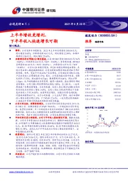 上半年增收更增利,下半年收入快速增长可期