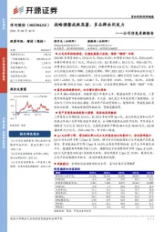 公司信息更新报告:战略调整成效显著,多品牌共同发力