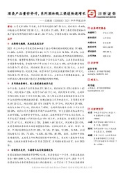 2021年半年报点评:酒类产品量价齐升,系列酒和线上渠道快速增长