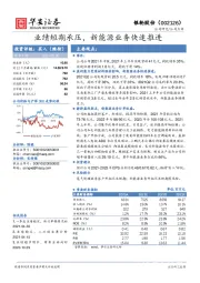 业绩短期承压，新能源业务快速推进