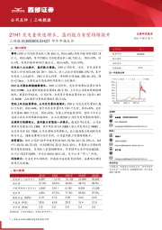 21年半年报点评：21H1发电量快速增长，盈利能力有望持续提升