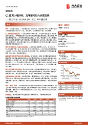 2021年中报点评：Q2盈利大幅好转，定增落地助力长期发展