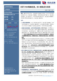 自研DRAM稳健发展,MCU描绘成长曲线