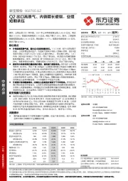 Q2出口高景气、内销增长疲弱，业绩短期承压