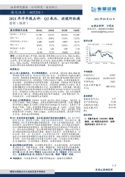 2021年半年报点评：Q2承压，逆境即机遇