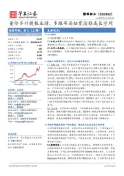 量价齐升提振业绩，多维布局拓宽远期成长空间