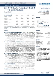 2021年半年报点评:人大金仓上半年全国第一,中国电科改革值得期待