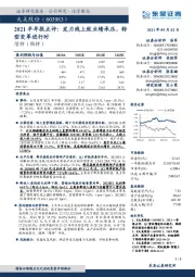 2021半年报点评:发力线上致业绩承压,转型变革进行时