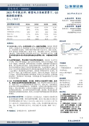 2021年中报点评：新型电力系统背景下，Q2维持较快增长