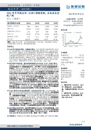 2021年半年报点评：IGBT持续突破，未来成长空间广阔