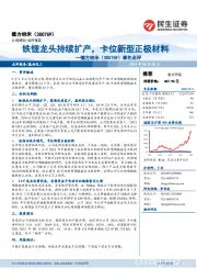 事件点评:铁锂龙头持续扩产,卡位新型正极材料