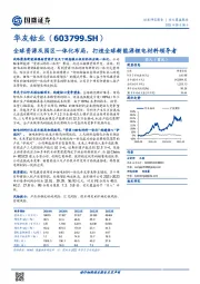 全球资源及园区一体化布局，打造全球新能源锂电材料领导者