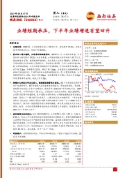 2021年中报点评:业绩短期承压，下半年业绩增速有望回升