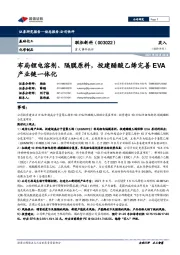 重大事件快评：布局锂电溶剂、隔膜原料，投建醋酸乙烯完善EVA产业链一体化