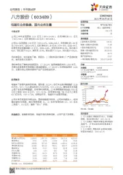 电踏车业务稳健,国内业务放量