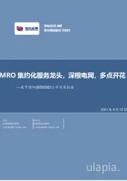 公司深度报告：MRO集约化服务龙头，深根电网，多点开花