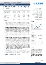 新型锂电池+电控布局,龙头技术进步加速