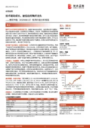 投资价值分析报告：技术驱动成长，被低估的陶纤龙头