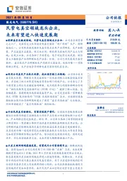 民营电真空领域龙头企业，未来有望进入快速发展期