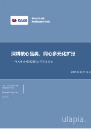 公司深度报告：深耕核心品类，同心多元化扩张