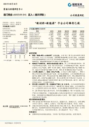 “新材料+新能源”平台公司雏形已现