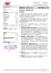 技术能力出众,渠道建设助力增长