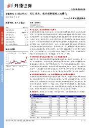 公司首次覆盖报告：GIL龙头，技术创新驱动二次腾飞