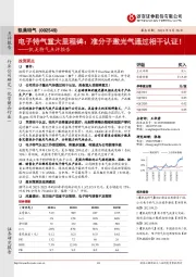 凯美特气点评报告：电子特气重大里程碑：准分子激光气通过相干认证！