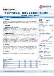 事件点评：定增扩产再加码，隔膜龙头盈利能力逐步提升