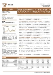 切入锂电负极材料，形成“油气产业”和“新能源产业”双主业战略