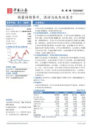 销量持续攀升，混动与纯电双发力