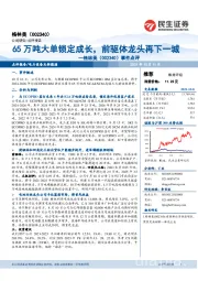 事件点评:65万吨大单锁定成长,前驱体龙头再下一城