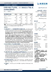 定增加码扩产&研发，CC热场龙头产能+成本控制优势稳固