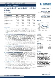 2021Q3业绩点评:Q3业绩高增,三大业务稳步推进