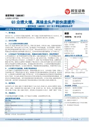 2021年三季报业绩预告点评:Q3业绩大增,高镍龙头产能快速提升