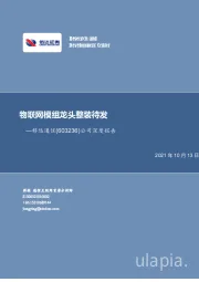 公司深度报告：物联网模组龙头整装待发